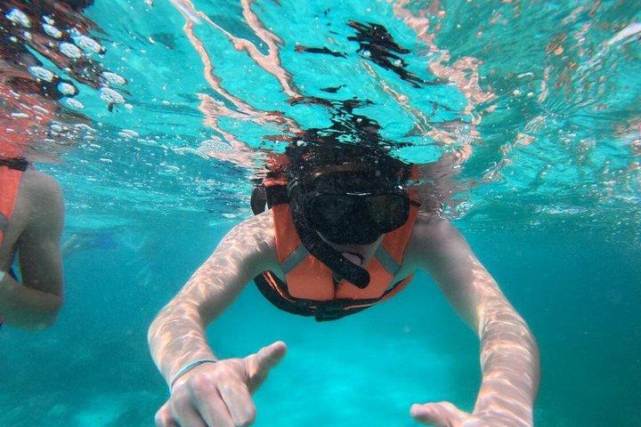 Excursion de plongée en apnée de 3 heures sur la Costa Maya - La Leyenda ECO-TOURS