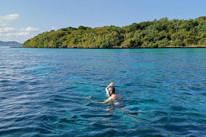 Mauritius: 5 Islands Speedboat Tour med grill og snorkling