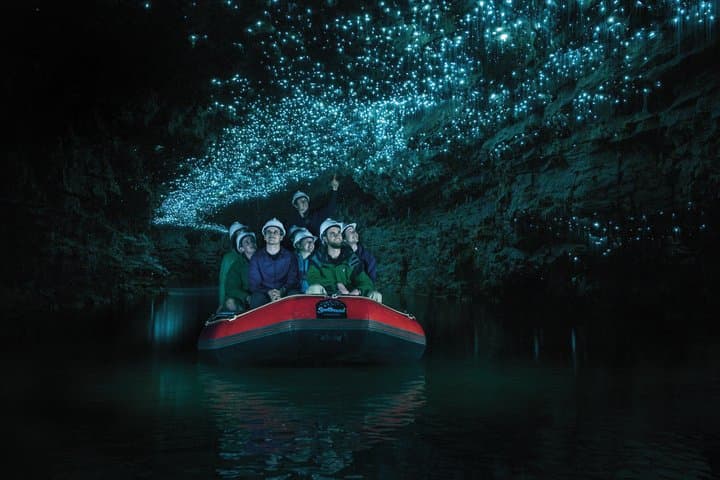 From Auckland: Spellbound, Waitomo Glowworm Cave Small Group Tour