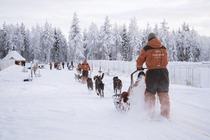 Aventure Nulkki Husky
