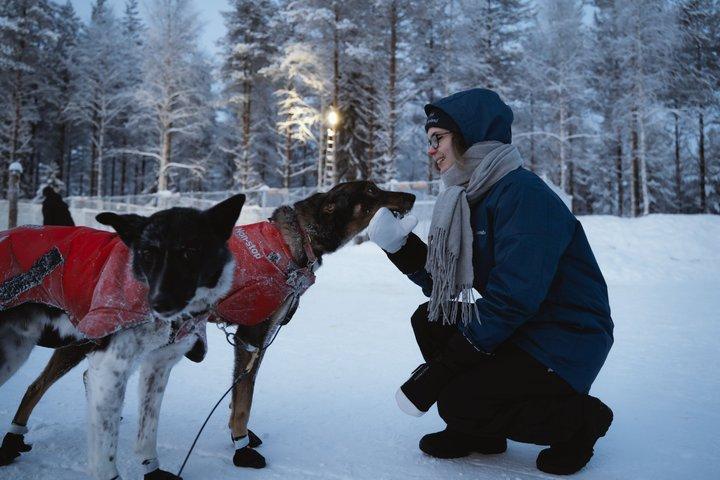 Aventure Nulkki Husky