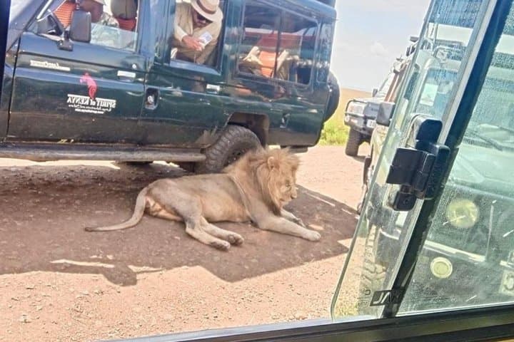 Half Day Nairobi National Park Safari Tour