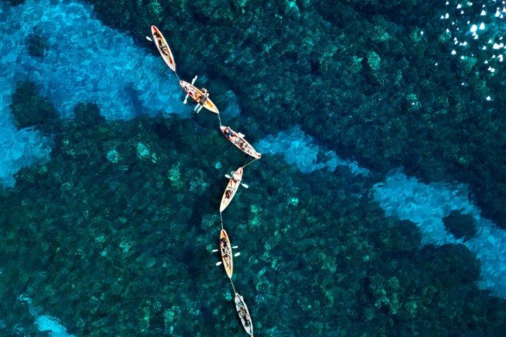 Turtle Town Coastal Kayak & Snorkel: Turtles Guaranteed