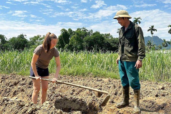 Da Pu Luong: trekking di mezza giornata, terrazze di riso e villaggi locali