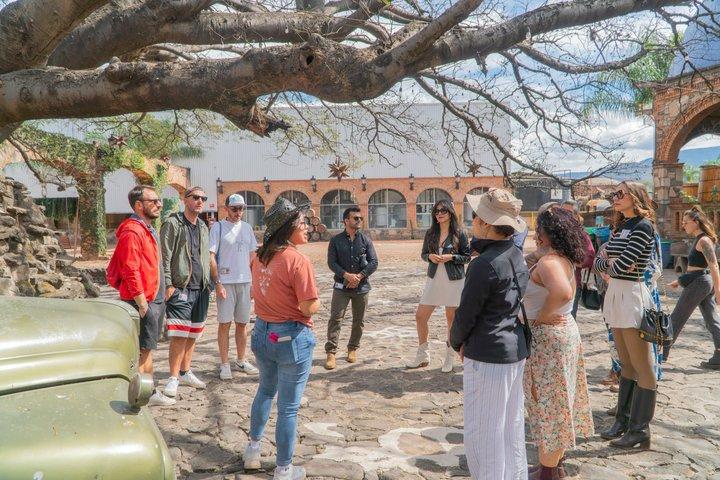 Premium Tequila Tour with Tasting and Pairing by GDL EXPERIENCES