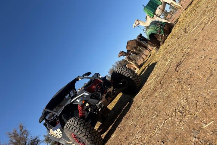 Explore the Marrakech Palm Desert in Buggy