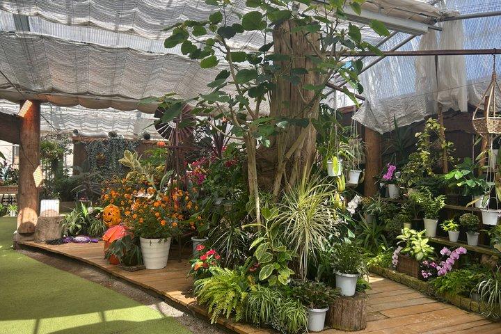 Chureito Pagode-Arakurayama & Kräutergarten Guided-VAN