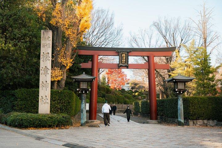 Old Tokyo Guided Walking Tour of Yanaka and Nezu Shrine