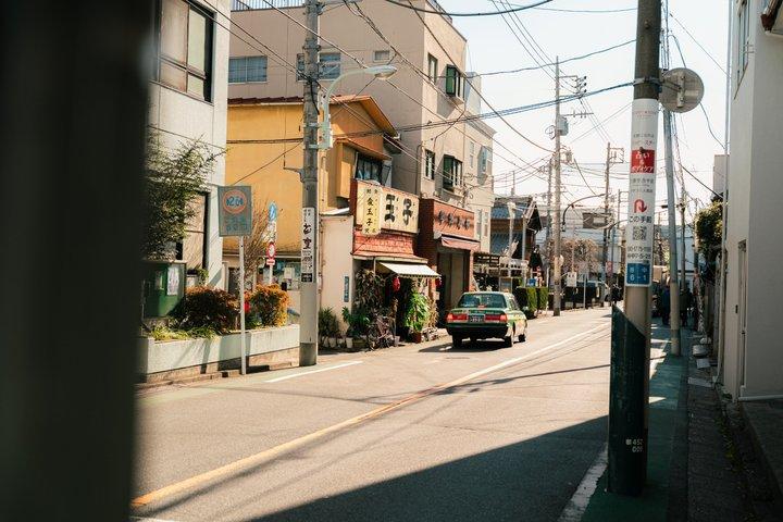 Old Tokyo Guided Walking Tour of Yanaka and Nezu Shrine