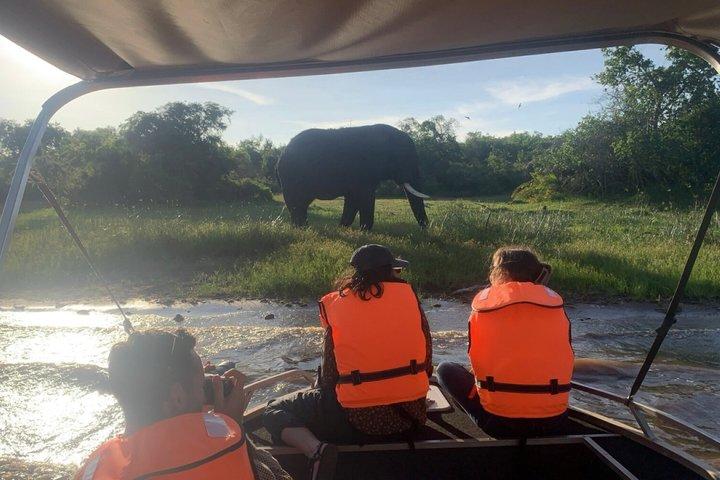 2 dage Akagera Wildlife Safari med Night Game Drive