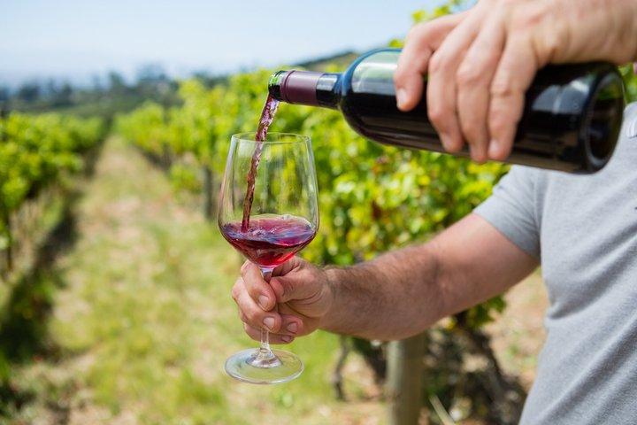 Winery Tour and Local Wine Tasting in Ischia