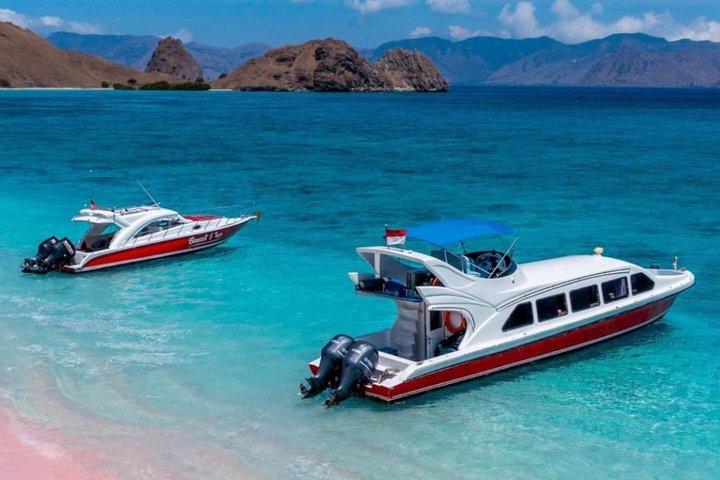 Exclusieve speedboot groepstour : één dag naar Komodo Island