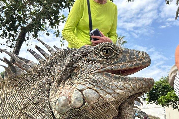 Guayaquil Destacados y Auténtica Experiencia en Granja de Cacao Fino