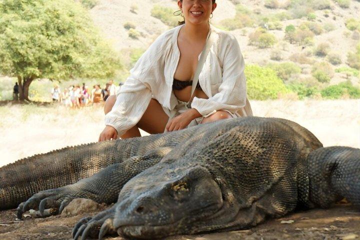 Exclusieve speedboot groepstour : één dag naar Komodo Island