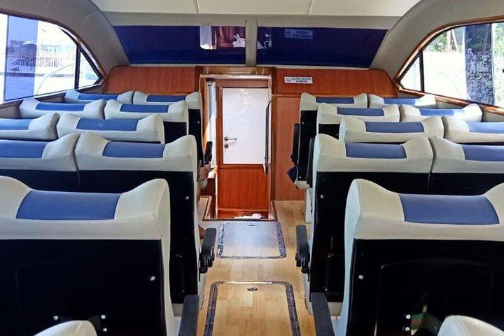 Exclusieve speedboot groepstour : één dag naar Komodo Island