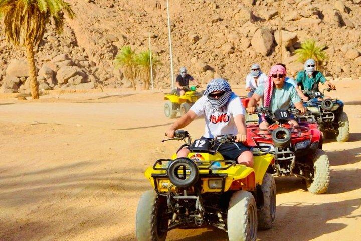 Giornata da brivido nel deserto e negli sport acquatici a Sharm El Shiekh