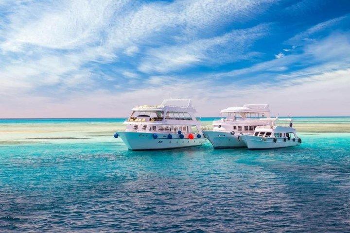 Dolphin house VIP trip in hurghada with snorkeling & lunch