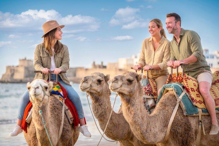 Hunter Valley Winery, Port Stephens Sandboard or Camel Rides Tour