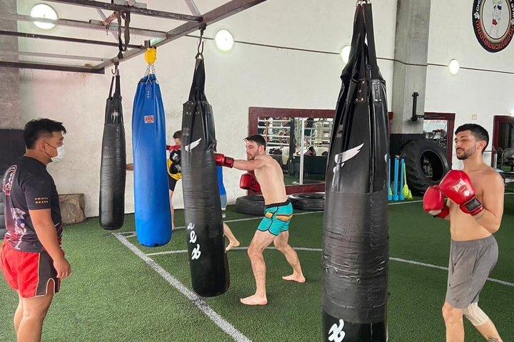 Muay Thai Beginner Class in Chiang Mai with Expert