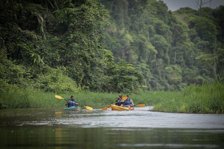 Tour en kayak dans les canaux de Tortuguero avec guide touristique