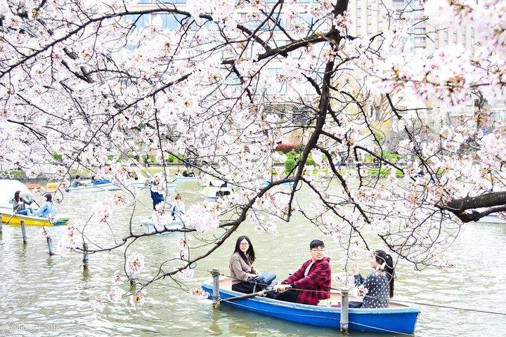 Ueno Park e Ameyoko Street Food Market Tour a piedi di mezza giornata