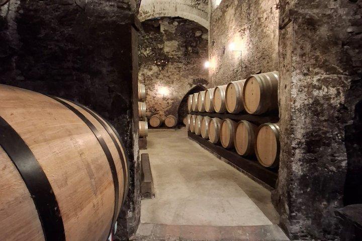 Visite dégustation dans l'une des plus belles caves du monde