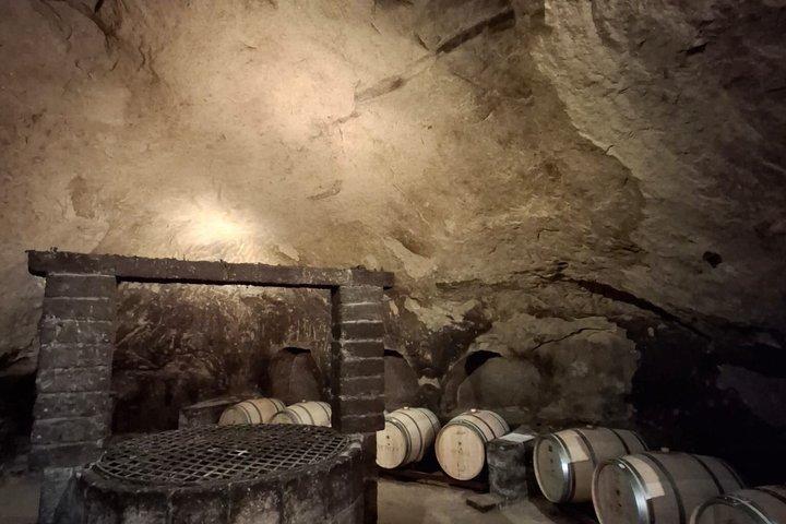 Visite dégustation dans l'une des plus belles caves du monde