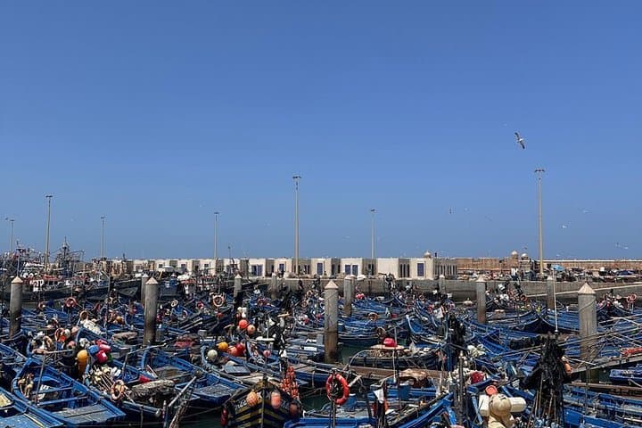From Marrakech To Essaouira Mogador Full Day Trip