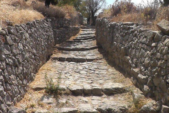 Aegina Agios Nektarios Kloster und Paliachora Tour