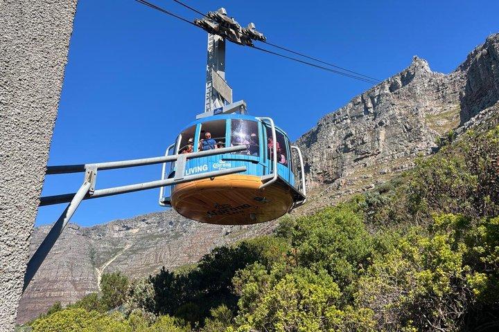 Tour di un giorno a Città del Capo: Table Mountain e Two Oceans Aquarium