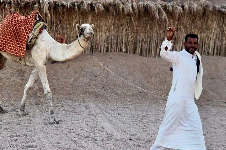 Giornata da brivido nel deserto e negli sport acquatici a Sharm El Shiekh