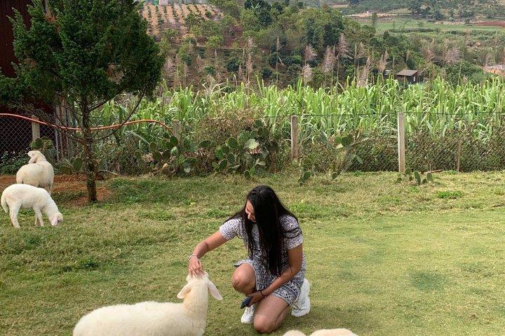 NhaTrang to Dalat Tour de ida e volta: Luge Kart & Rainbow Slide Adventure