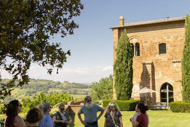 Excursión privada al vino de Orvieto desde Roma