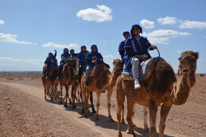 Marrakech Camel Ride in Palm Grove Palmeraie with Hotel Pickup
