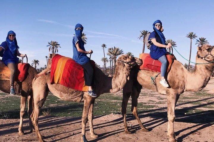 Marrakech Camel Ride in Palm Grove Palmeraie with Hotel Pickup
