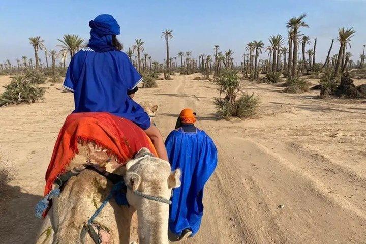Marrakech Camel Ride in Palm Grove Palmeraie with Hotel Pickup