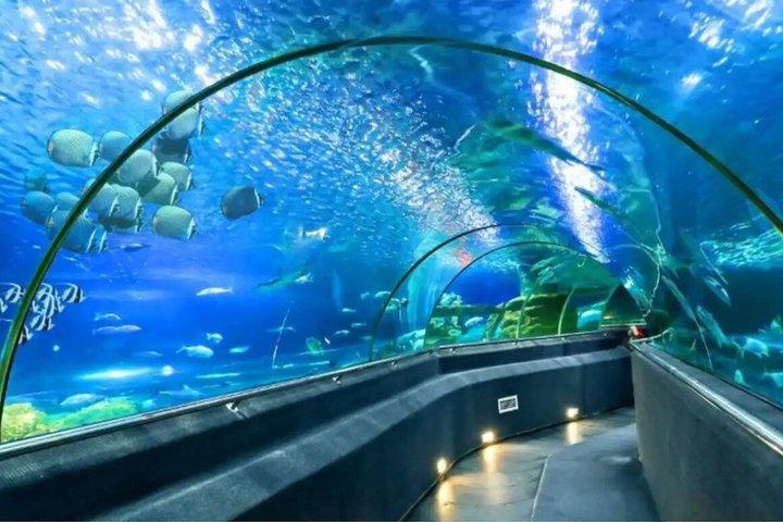 Halvdags biludflugt i Nha Trang