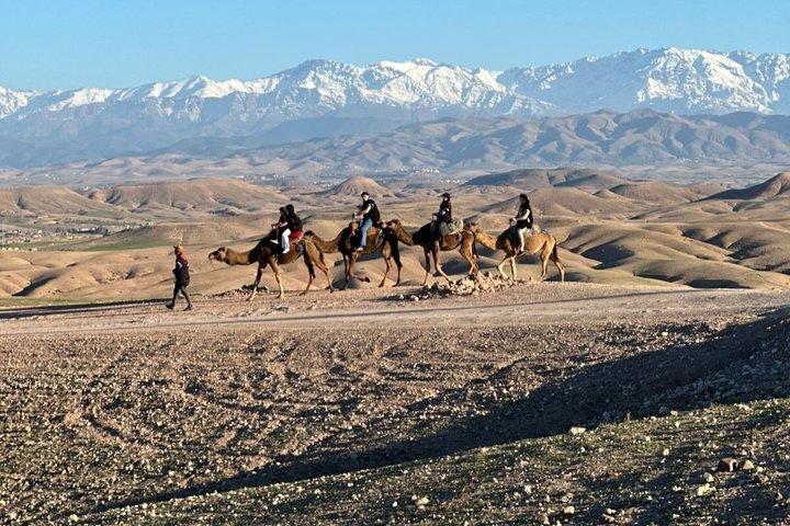 Agafay Desert Adventure Quad Biking and Sunset Camel Trek