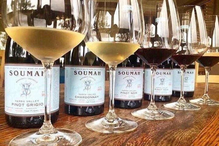 Yarra Valley Premium Vin Redwood Forest Dagstur Melbourne