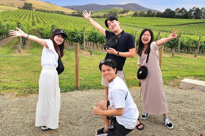 Yarra Valley Premium Vin Redwood Forest Dagstur Melbourne