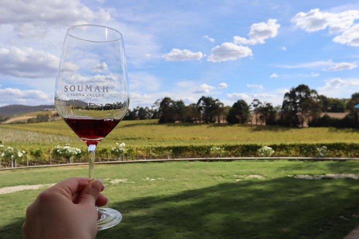 Yarra Valley Premium Vin Redwood Forest Dagstur Melbourne