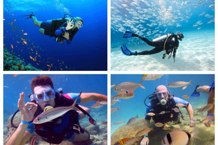 Marmaris : Scuba Diving For Beginners with Lunch and Transfer