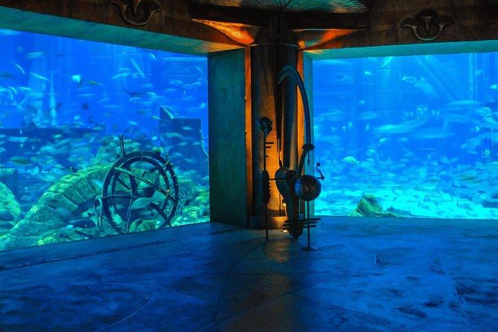 アクアベンチャーワールドドバイのロストワールド水族館