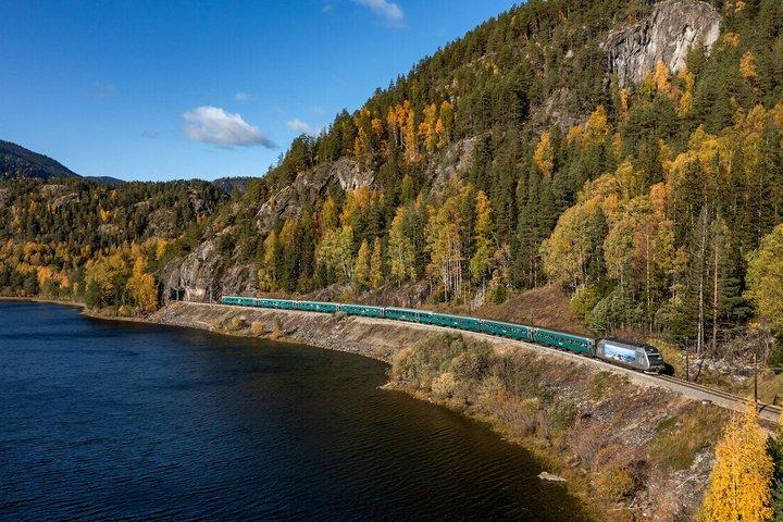 Esplora le montagne della Norvegia (2 giorni) in bicicletta elettrica + treno