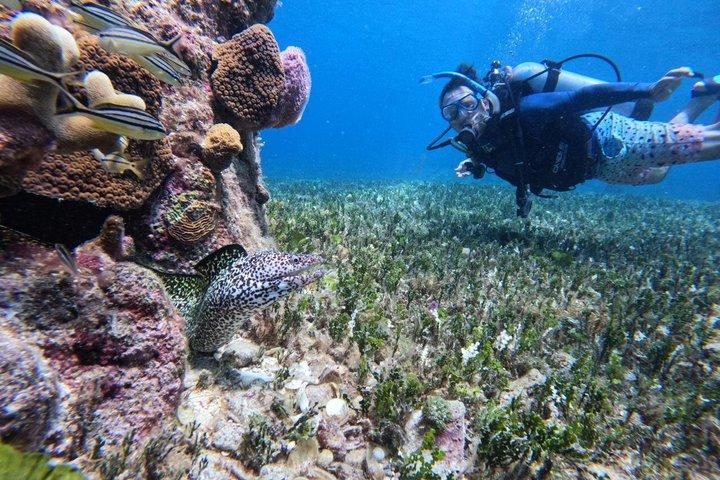 Cozumel Diving Adventure in Chankanaab