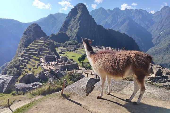 Entrada em Machu Picchu com Guía Experto desde Aguas Calientes