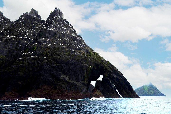 Skellig Michael Seabird Photography Grupo pequeño de Kenmare