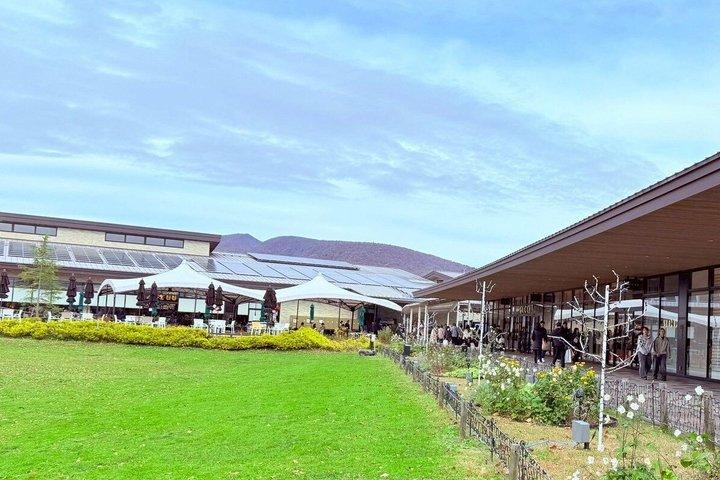 Tokyo: Karuizawa, Kawagoe & Hoshino Resort Shrine Day Tour