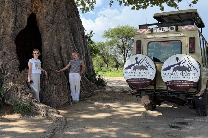 Arusha: Tarangire National Park 1-Day Group Joining Safari
