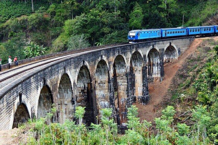 Desde Kandy : Billete de tren panorámico de primera clase Odyssey a Ella